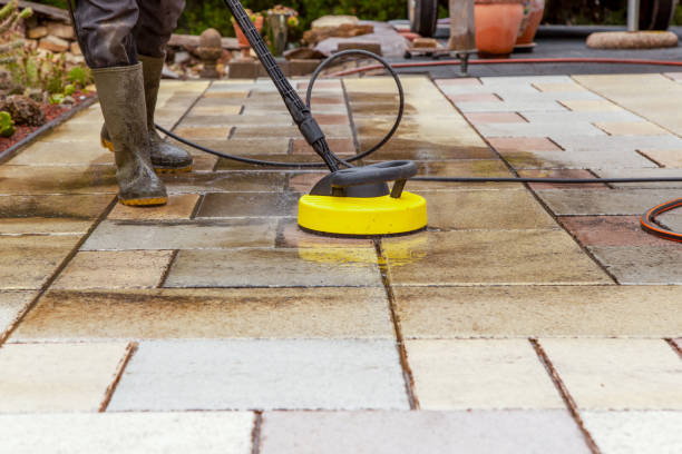 Best Dumpster Area Cleaning  in Genoa City, WI