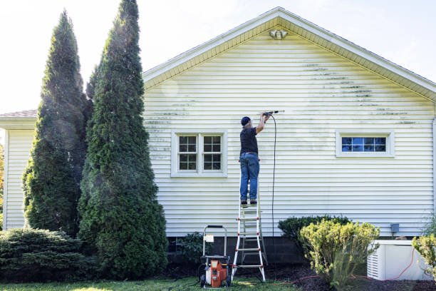 Best Sidewalk and Walkway Cleaning  in Genoa City, WI