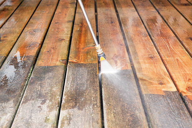 Best Gutter Cleaning  in Genoa City, WI